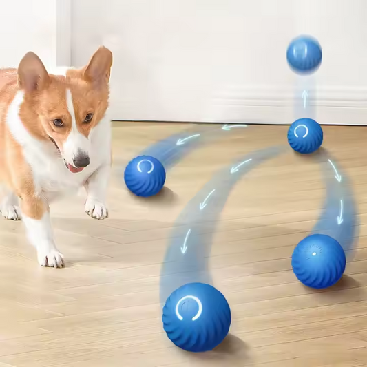 Pack of 3 New Smart Dog/Cat Toys Automatic Rolling Ball