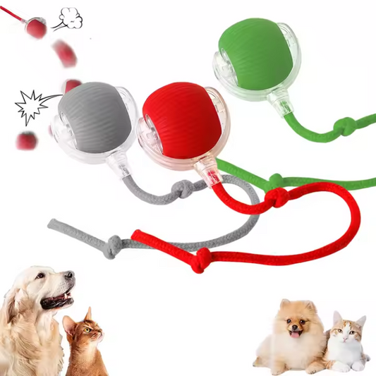 360° Activate Pet Toy Dog/Cat.