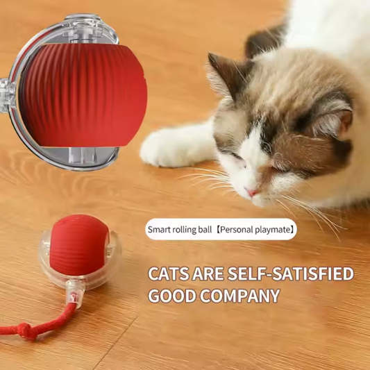 360° Activate Pet Toy Dog/Cat.