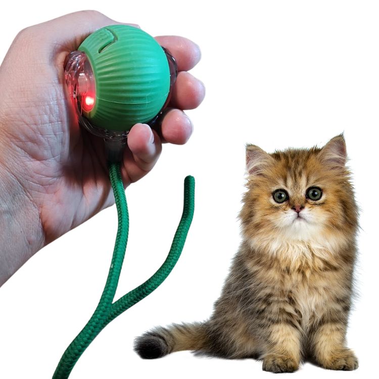 360° Activate Pet Toy Dog/Cat.
