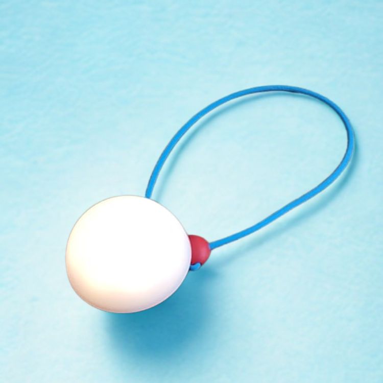 "BubblePal" the  Interactive AI Companion