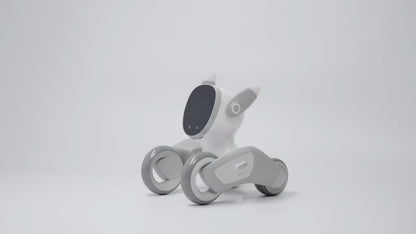 LOONA  AI Smart Robot pet.