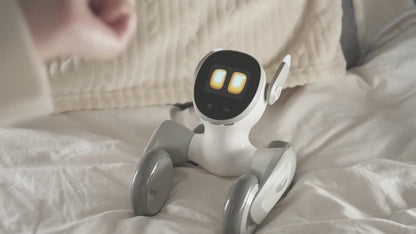 LOONA  AI Smart Robot pet.